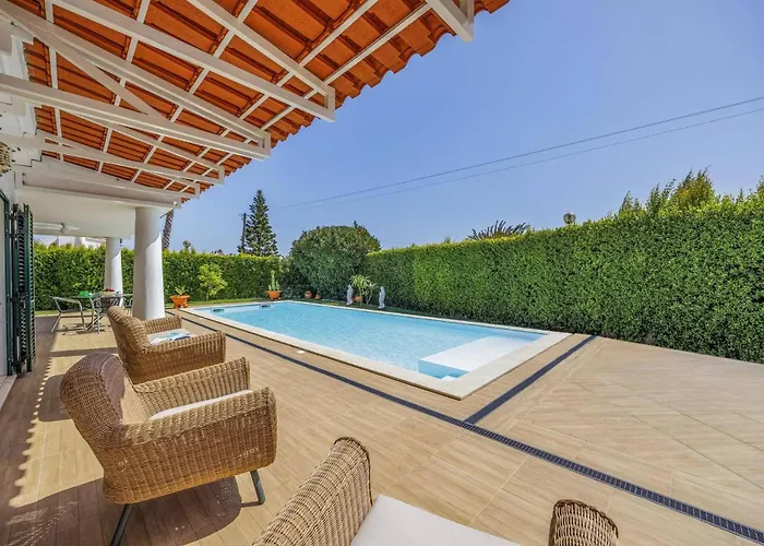 Medicis By * 알부페이라